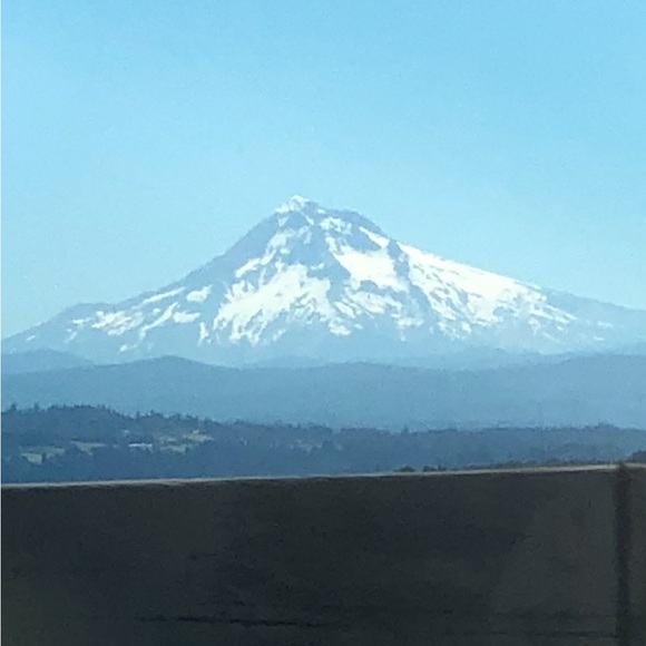 Meet your Posher, Shari - Picture 12 of 14